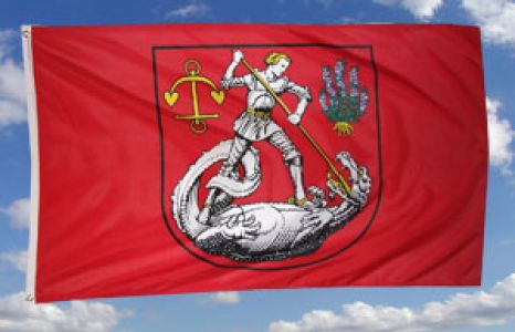 Flagge Fahne Eiderstedt 90x150cm