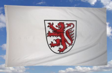 Braunschweig Fahne 90x150 cm