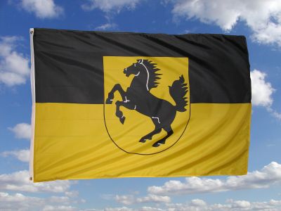 Fahne Pferde Flagge Pony Hissflagge 90x150cm 