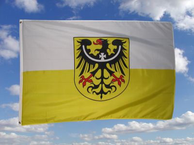 Fahne Flagge Ostpreußen Landsmannschaften mit 20 Wappen 90 x 150 cm 