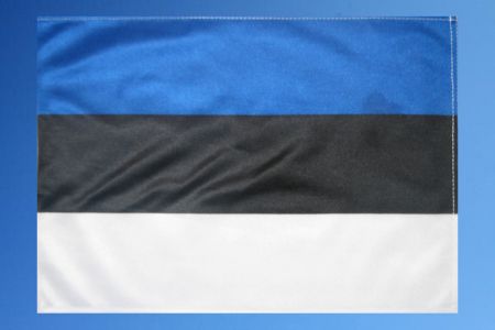 Estland Fahne/Flagge 27x40cm