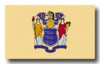 New Jersey Fahne/Flagge 90x150cm