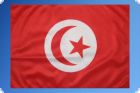 Tunesien Fahne/Flagge 27x40cm