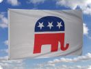 Republikaner Fahne 90 x 150 cm
